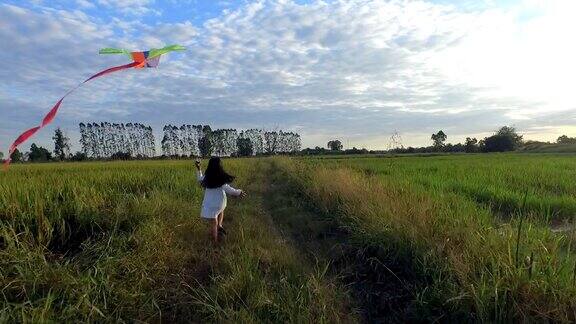 女孩们在田野中间放风筝