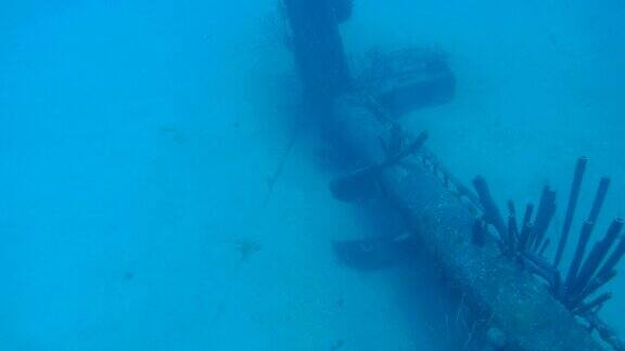 海难希尔玛胡克博内尔岛加勒比海水下1080P视频