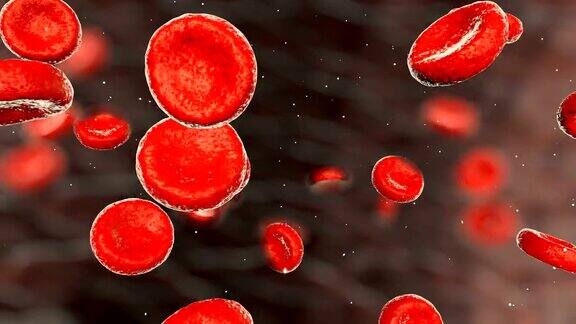 动脉中真实的血细胞红细胞在血液中运动