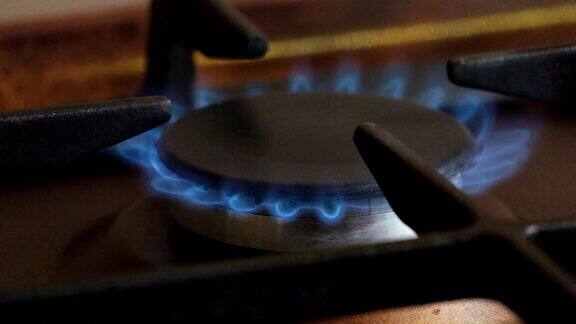 煤气灶上煤气灶的蓝色火焰