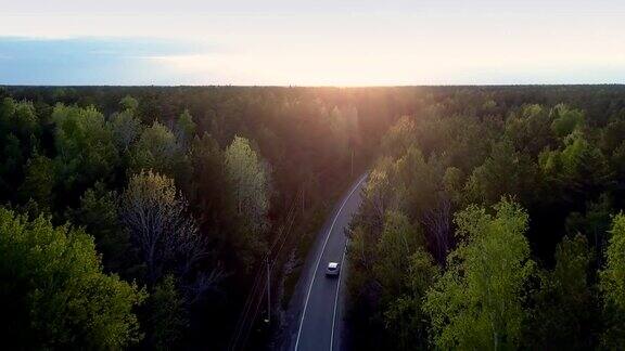 全景自动驾驶穿过松树林和晚霞