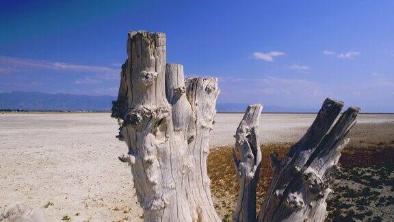 犹他州羚羊岛的大盐湖