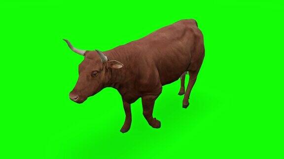 绿色屏幕上行走的奶牛动物野生动物游戏回到学校3d动画短视频电影卡通有机色度键角色动画设计元素主题设置循环