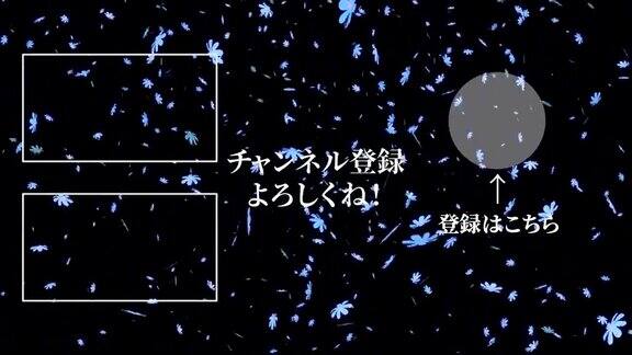 宇宙花粒子日语末卡运动图形