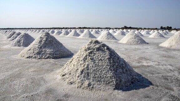 盐场工业大面积制盐