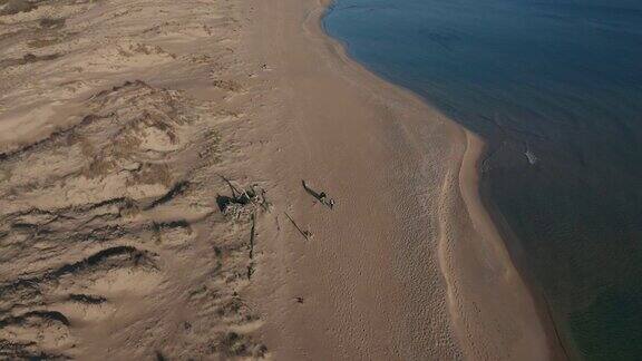 野生沙滩沙丘和清澈的海水