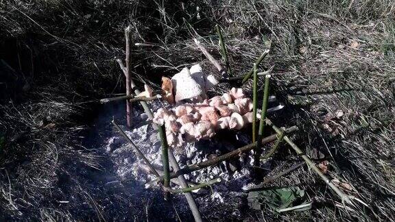 羊肉串是在森林里用火在树枝上炸的