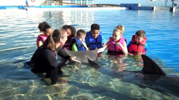 小朋友与训练师海豚在海洋教育公园