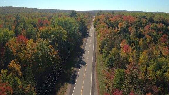 空荡的道路引领着美丽多彩的秋林在阳光明媚的秋天