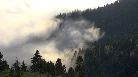 一片云海覆盖着山谷
