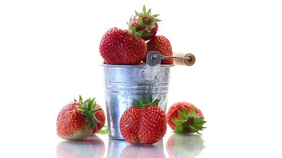 新鲜成熟的有机红草莓白色背景