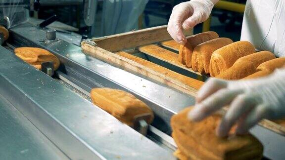 面包卷正在面包房包装线上包装