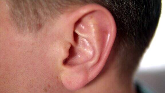 仔细的观察人的耳朵耳朵在概要文件