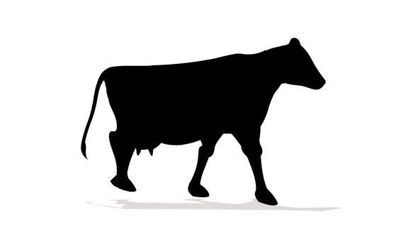牛走循环动画