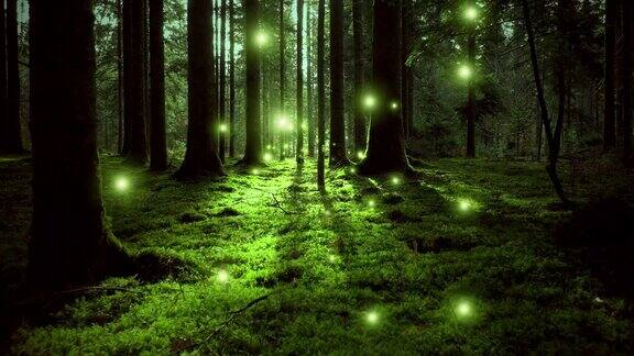 梦幻般的绿色苔藓童话森林与萤火虫动画