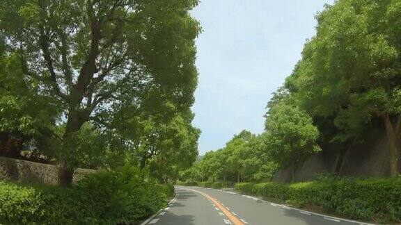 神奈川县的一条公路翠绿美丽