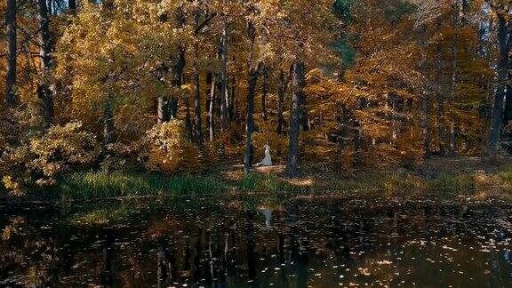 一对年轻的新婚夫妇沿着湖边美丽的森林散步鸟瞰图金色的秋天