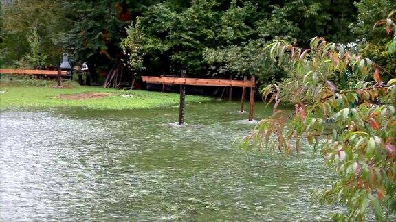 花园在水里