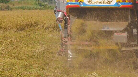 收割一片稻田