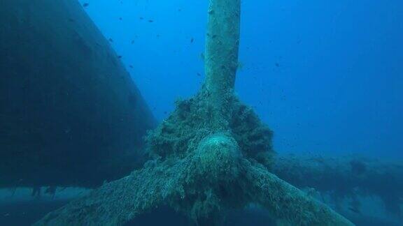 海底螺旋桨飞机残骸