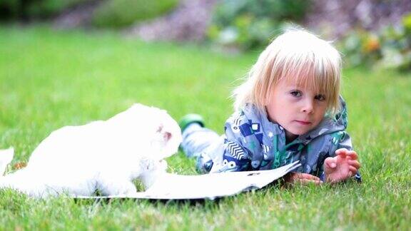 一个蹒跚学步的小孩金发男孩在花园里和马尔他小狗玩