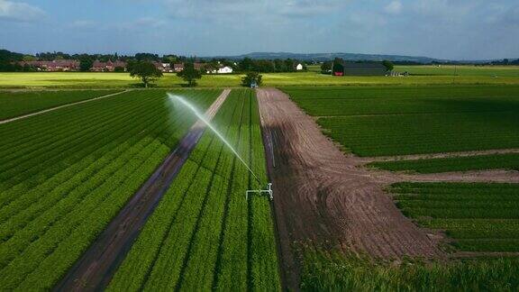 农田作物灌溉系统鸟瞰图