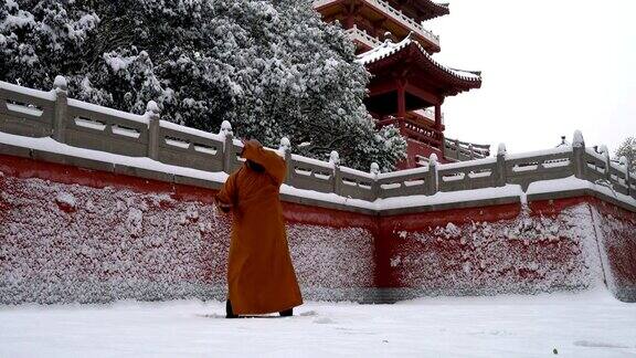 中国少林寺功夫武僧