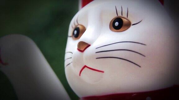 白色幸运猫Maneki-Neko特写镜头