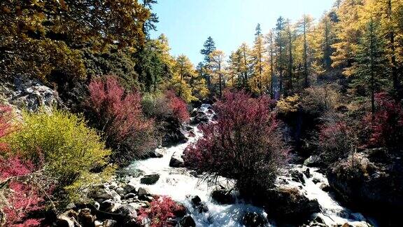 美丽的瀑布流淌在亚丁自然保护区的秋季森林里