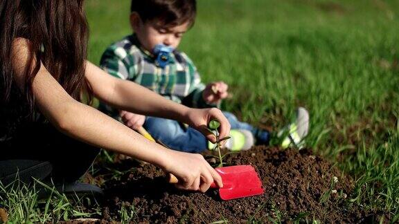 植树节种植树苗挖掘土壤栽培树木小女孩小男孩