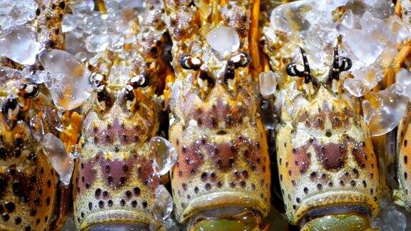 新鲜的龙虾在冰上亚洲街头小吃刺龙虾特写