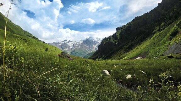 高加索山脉美丽的山谷草甸