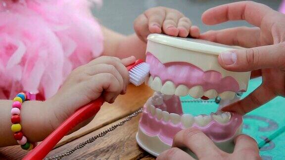 牙医用牙刷清洁下颌模型教学牙科护理特写