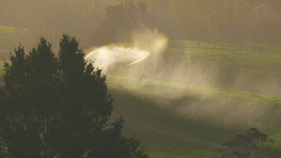 新西兰农田作物灌溉