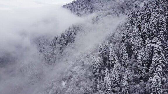 多雪和雾山森林空中