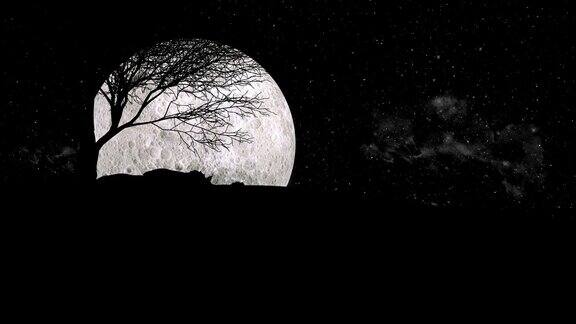 月圆之夜群狼嗥叫动作统一