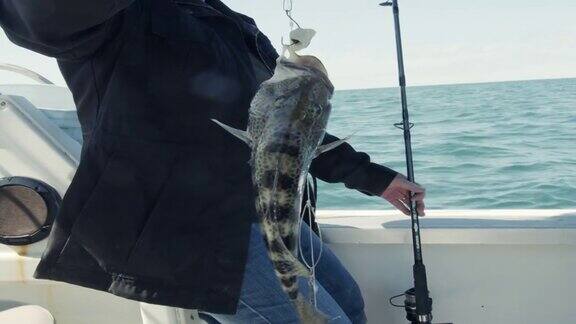 在墨西哥索诺拉港附近的科尔特斯海的一艘船上捕鱼的妇女捕获了一条岩石鲈鱼Pe?asco