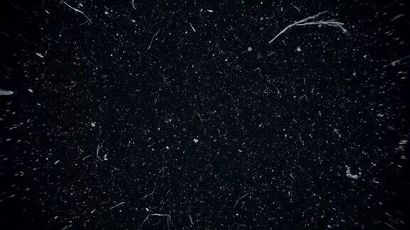 白色的尘埃粒子在黑色的背景下在太空中缓慢移动抽象粒子运动背景慢镜头宏观尘埃粒子爆炸流在黑色背景