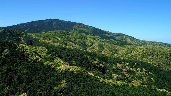 山的风景