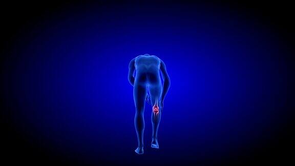 膝盖疼痛蓝色人体解剖体3D扫描渲染-旋转无缝循环