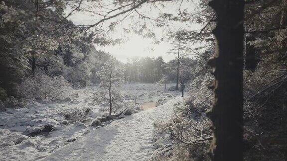 在一个雪天在森林里远足的妇女