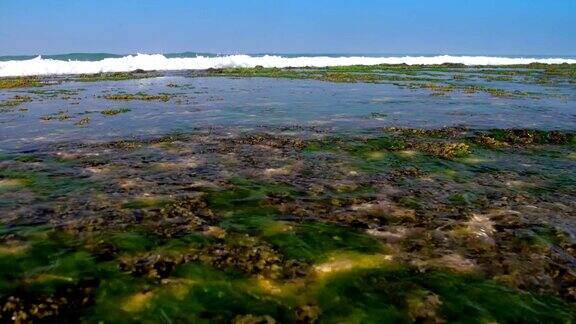 汹涌的海浪在海岸线上翻滚着白色的泡沫