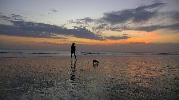 海滩日落上小狗奔跑的剪影