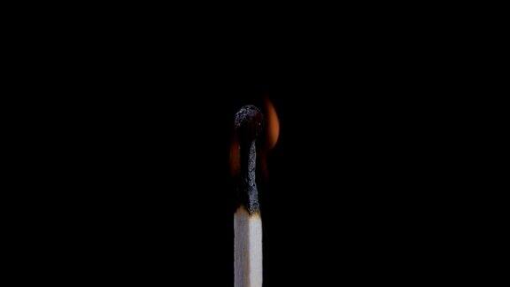 火柴自燃燃烧熄灭燃烧的木头火柴和火焰特写在一个黑色的背景上壮观的燃烧着的火燃烧到最后留下一个烧焦的木头火柴特写镜头