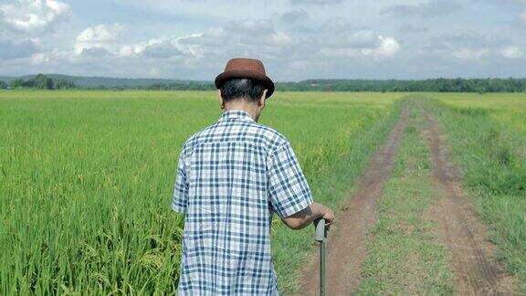 亚洲老年男性拄着拐杖行走在大自然中理念健康