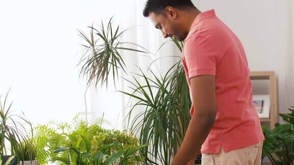 一名印度男子在家中照料室内植物