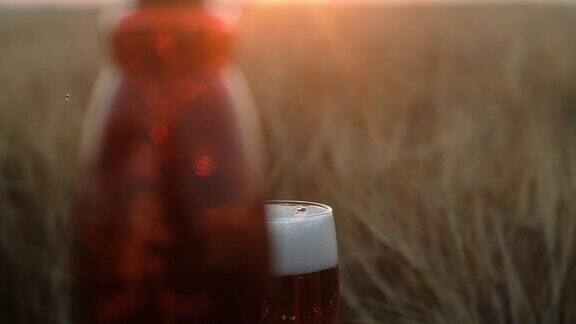 将淡凉的啤酒大量倒入透明的玻璃杯中泡沫上升到美丽的白色帽子的边缘玻璃立在田野里的木桌上映衬着黄昏的夕阳