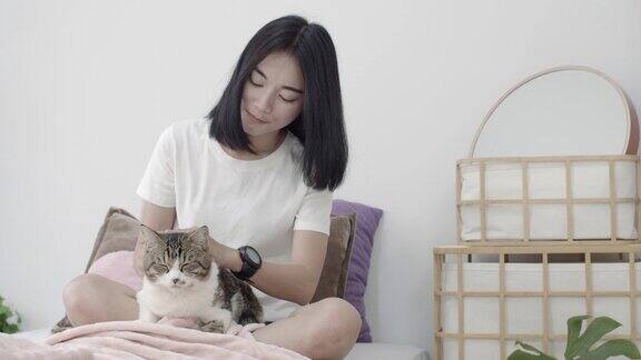 年轻的亚洲美丽的女人玩和抱着她的可爱的猫在卧室在家里的背景人与宠物之间的爱和友谊慢动作