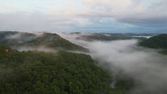 雾雾无人机飞越红河峡谷森林和肯塔基山脉