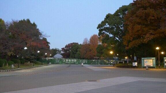 日本的上野公园东京的秋天